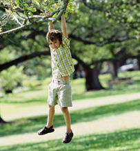 Kid Hanging From Tree