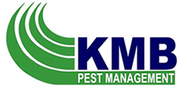 KMB Pest Management
